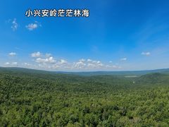 -汤旺河林海奇石景区