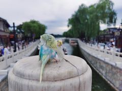 -什刹海
