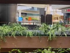 -瑞虹新天地月亮湾