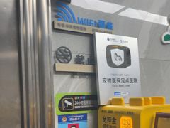 -半岛宠物医院24小时(白果林店)