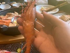 -月龍吟(朝龙汇店)