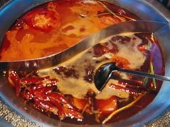 -辣伍鲜毛肚老火锅(元一店)