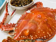 -北塘海鲜·天津菜(大光明桥旗舰店)