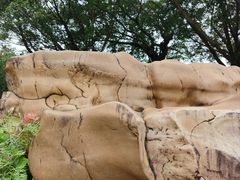 -深圳龙潭公园