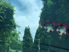 -武陵山森林公园