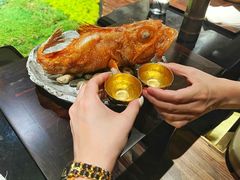 -元熹会席料理