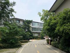 -田园东方蜜桃村的田野营地