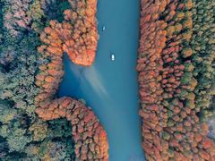 -上海海湾国家森林公园