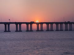 -宝安西湾红树林湿地公园