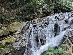 -莫里热带雨林景区
