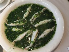 荠菜松茸烩黄鱼-老人和饭店(淮海中路店)
