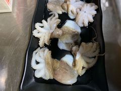 八爪鱼-水哥卜卜贝(东晓·胜汇里店)