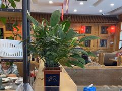 -大清花饺子(山庄店)