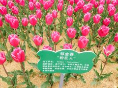 -公益图书馆(江南大学店)