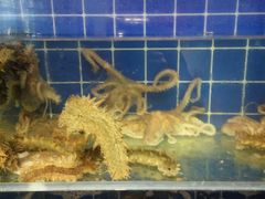 -聚百鲜海鲜烧烤私房菜(韩乐坊店)