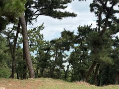 -刘公岛景区