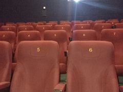 -嘉华国际影城(学清路店)