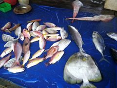 -尼甘布海鲜市场