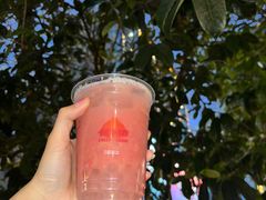 -伏小桃(明瓦廊店)