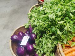 -杨厨的田园饭店(长城路店)