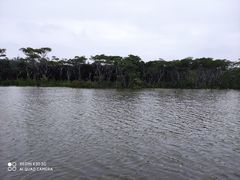 -东寨港红树林旅游区