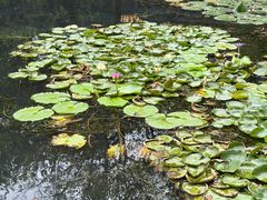 -西湖天地