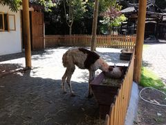 -楠溪江风景名胜区