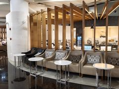 -虹桥机场国航贵宾室v8