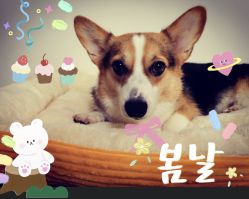 -酷嗒动物文化乐园(cutezoo西溪乐天城店)