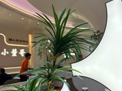 -小董哥烤串·爆汁大油边(故宫店)