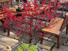 -鲤院·新中式美学·庭院餐厅(夫子庙店)