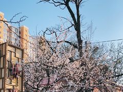 -日本风情街
