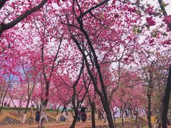 -昆明动物园