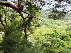 -芦仙山景区-飞越丛林探险乐园