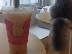 -Let's go狗咖·猫咖·奶狗·桌游(春熙路IFS店)