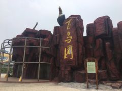 -太阳部落
