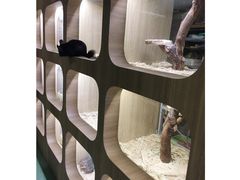 -藦茜花园宠物主题亲子互动体验馆(国顺东路店)