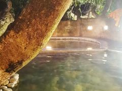 -天门沟九州驿站树上汤泉