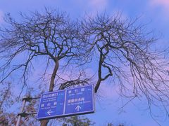 -广州市白云山风景名胜区