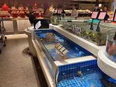 -渔人码头(中南店)