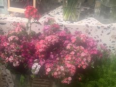 -匡小敏手工烘培(大地金墅店)