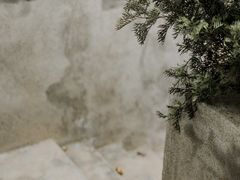 -悦哉·派对·草坪婚礼·围炉煮茶(三圣乡店)