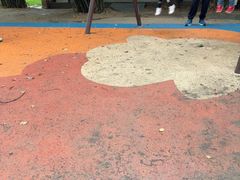 -堤角公园