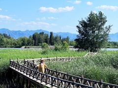 -野鸭湖国家湿地公园