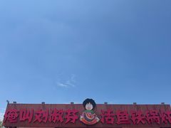 -刘淑芬·活鱼铁锅炖(北京首店)