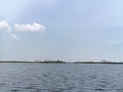 -南湖湿地公园