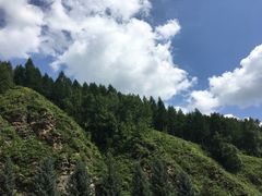 -塞罕坝国家级自然保护区