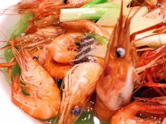 -子福慧(虹桥店)