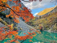 -叠溪松坪沟景区