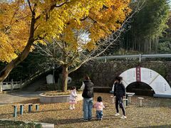 -溪口-滕头旅游景区